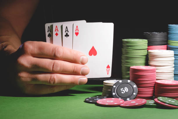 lotus betting app